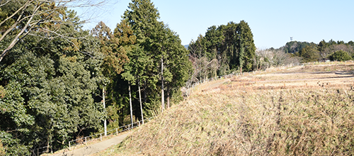 2020年4月度 見学会開催 武蔵小沢城と菅寺尾城（中止）